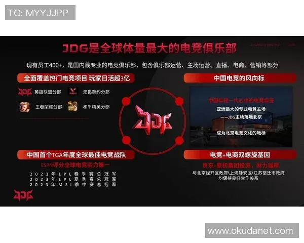 英雄联盟战术深度解析：JDG战队的策略与执行之道